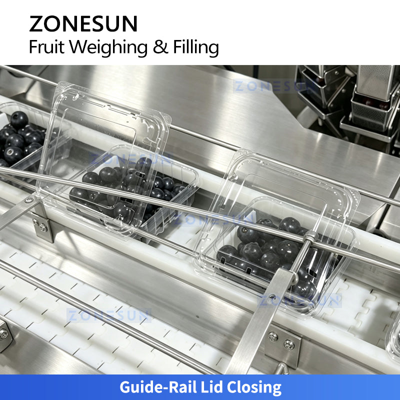 ZONESUN ZS-GWF15 Automatic Multi Lane Blueberry Cherry Tomato Fruit Weighing Filling Packing Sealing Machine