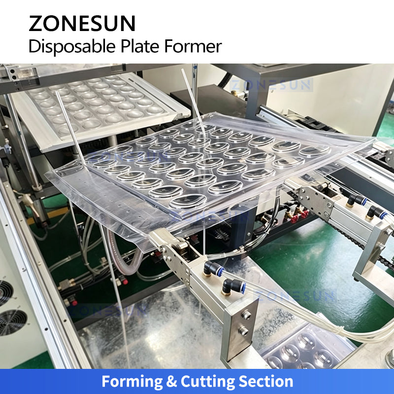 ZONESUN ZS-LK61 Automatic Disposable Plastic Plate Thermoforming Machine for Trays & Food Containers