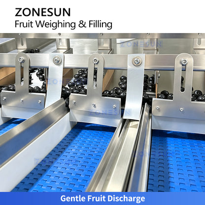 ZONESUN ZS-GWF15 Automatic Multi Lane Blueberry Cherry Tomato Fruit Weighing Filling Packing Sealing Machine