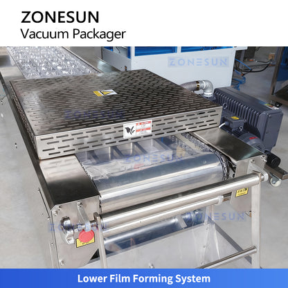 ZONESUN ZS-DLZ420 Automatic Vacuum Shrink Packaging Machine for Efficient Food & Medical Sealing