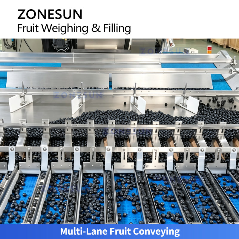 ZONESUN ZS-GWF15 Automatic Multi Lane Blueberry Cherry Tomato Fruit Weighing Filling Packing Sealing Machine