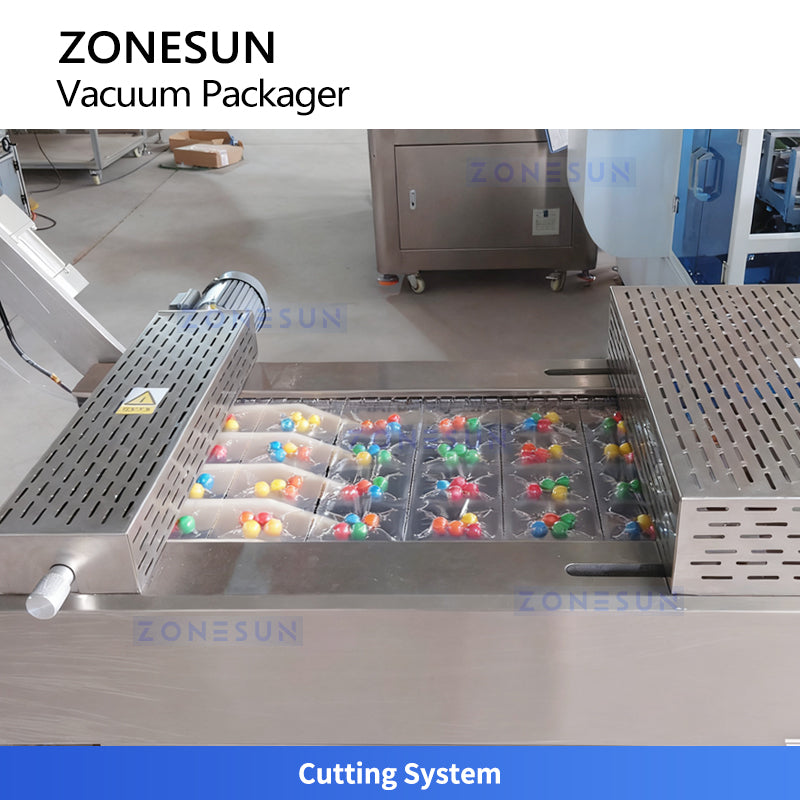 ZONESUN ZS-DLZ420 Automatic Vacuum Shrink Packaging Machine for Efficient Food & Medical Sealing